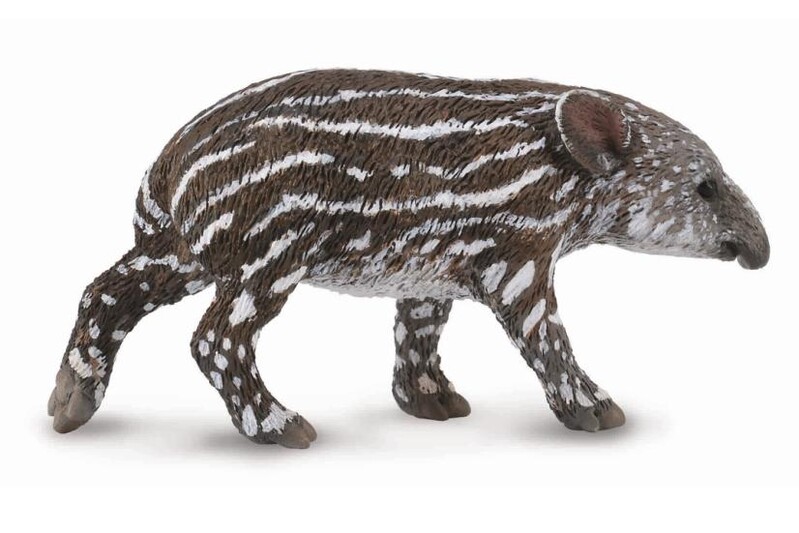 COLLECTA - Tapir - fiatal