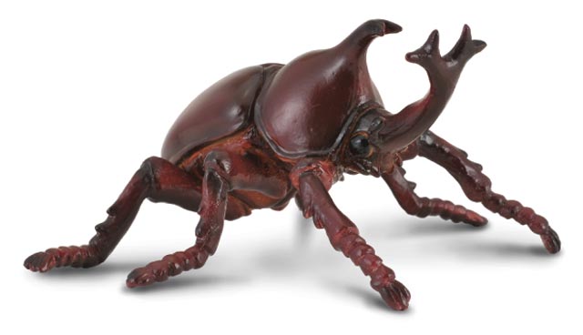 COLLECTA - Közönséges orrszarvú