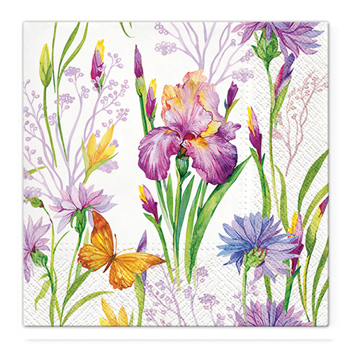 PAW – Törlőkendő TaT 33x33cm Iris with Butterfly