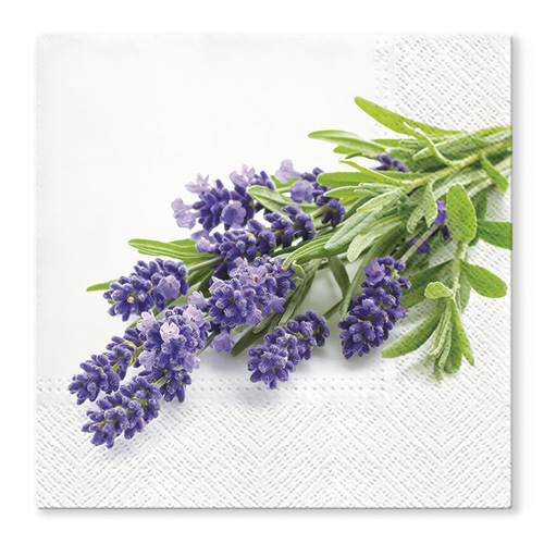 PAW – Törlőkendő TaT 33x33cm Lavender Bunch