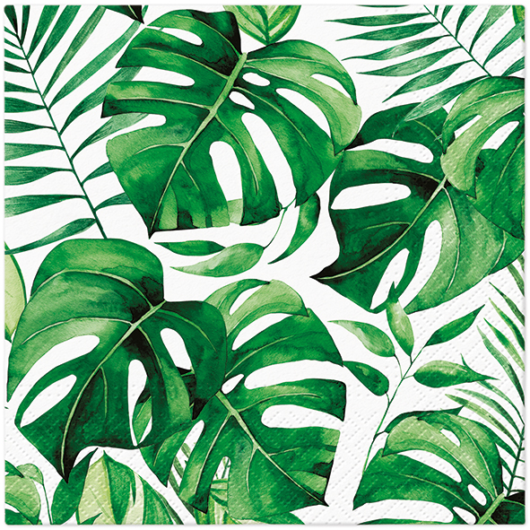 PAW – Törlőkendő TaT 33x33cm Monstera